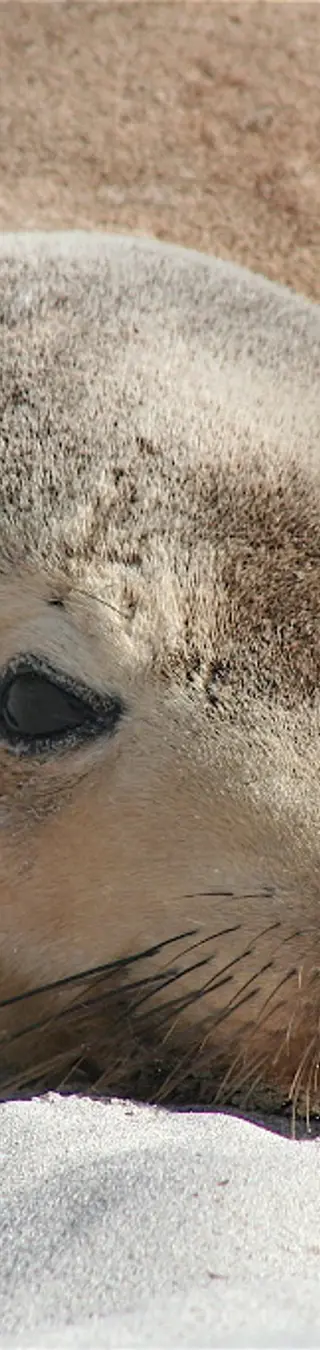 Bestaune die Artenvielfalt